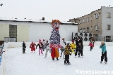 Veselý karneval na ledě (27. 1. 2013)