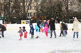 Karneval na ledě